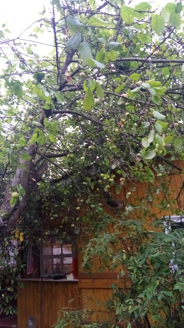 Наказан я за гордыню!