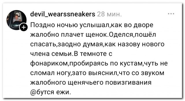 «Спасение щенка»
