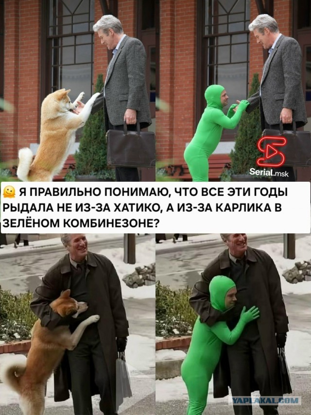 Петух потерял хозяина и восемь лет ждал его у больницы.