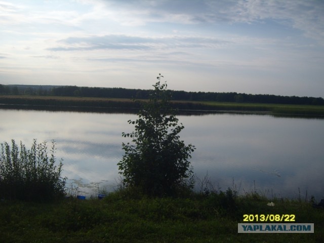 Поехали за грибами, приехали с карасями.