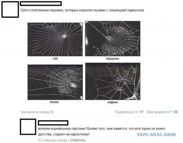 Смешные комментарии из социальных сетей