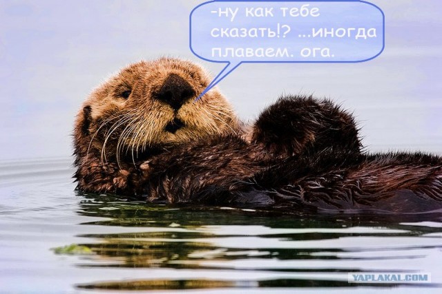 Хочу все знать...
