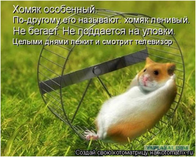 Чёрт, чёрт, чёрт!