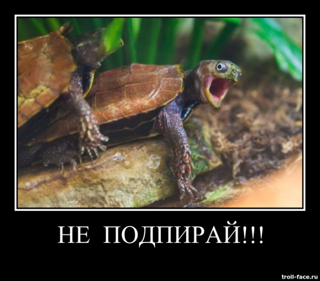 Wargaming 13