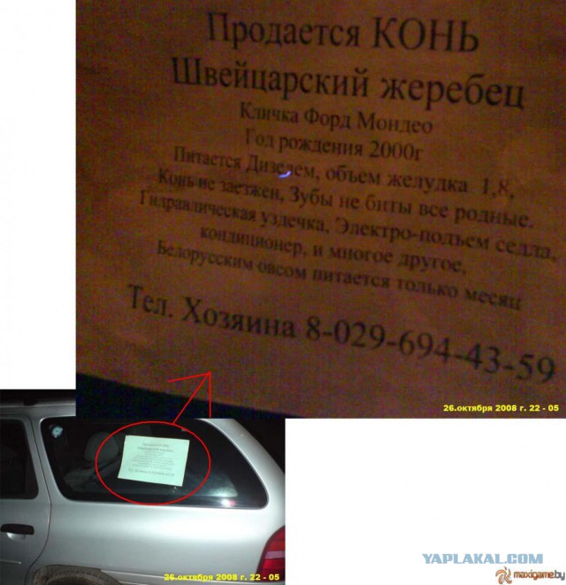 20 объявлений месяца, которыми мы гордимся
