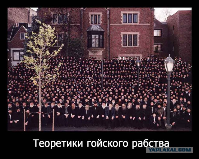 Знаки и символы управляют миром