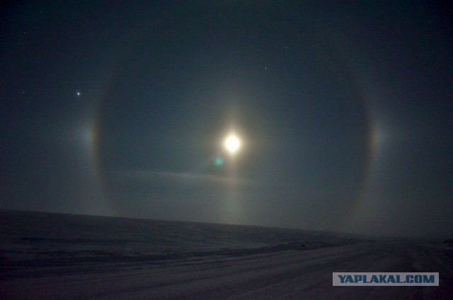 Солнечное гало
