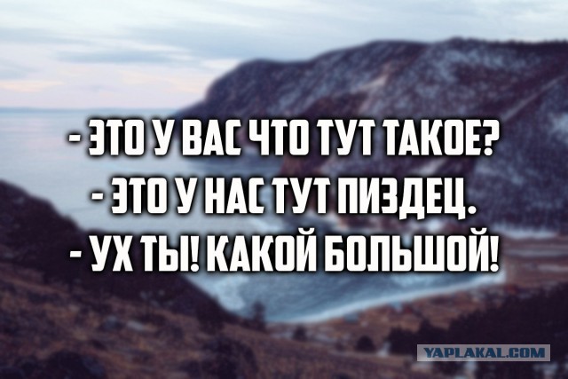 Приколы из соцсетей