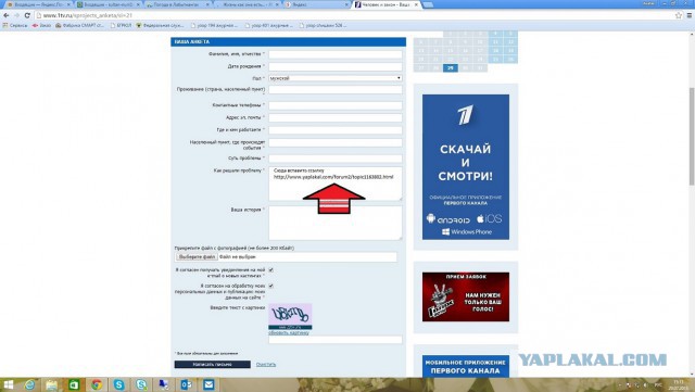 Жизнь как она есть...