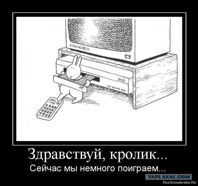 Минутка черного юмора на ЯПе
