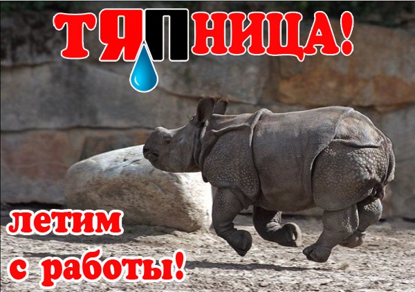 Ну и что, что я не птичко?