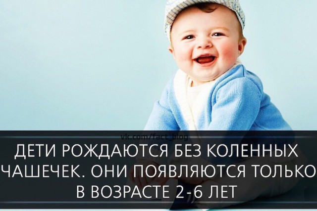 Картинки из сети