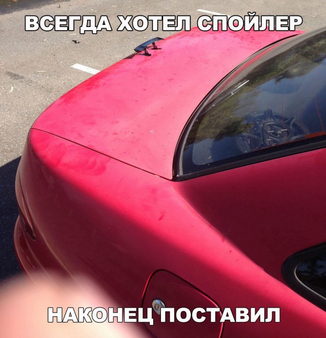 Порция картинок из сети
