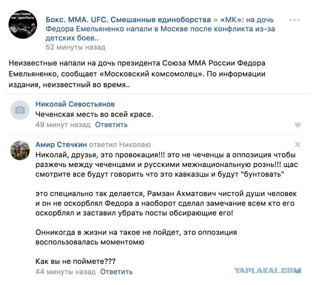 СМИ сообщили о нападении на дочь Федора Емельяненко