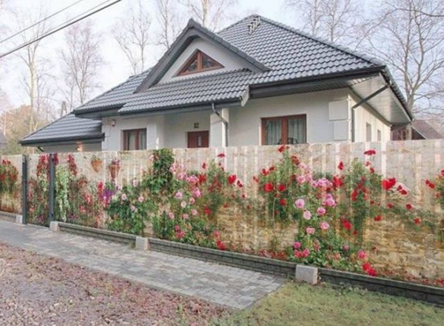 Картинки разные из сети