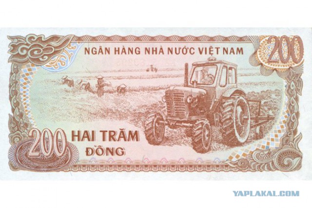 Самые красивые банкноты мира