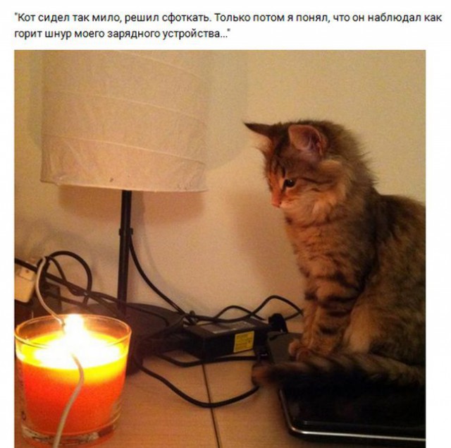 Фото всякое разное