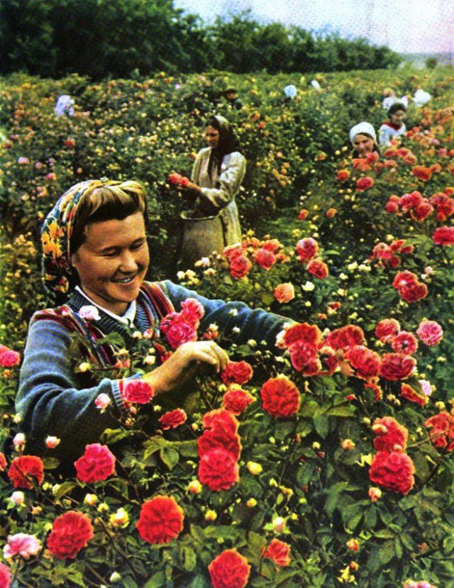 Советская эпоха в фотографиях.