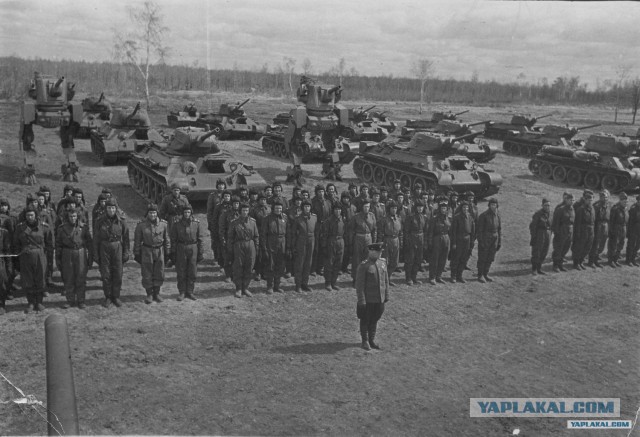 Wargaming 44