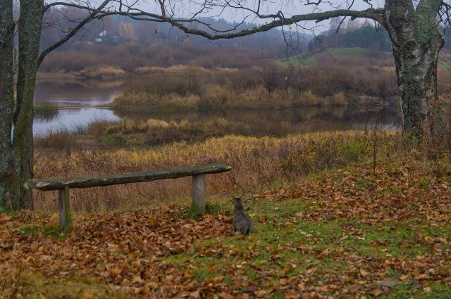 Оплот одиночества