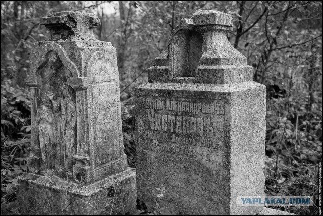 Исаакий в Костромских лесах. Забытый Вятский тракт.