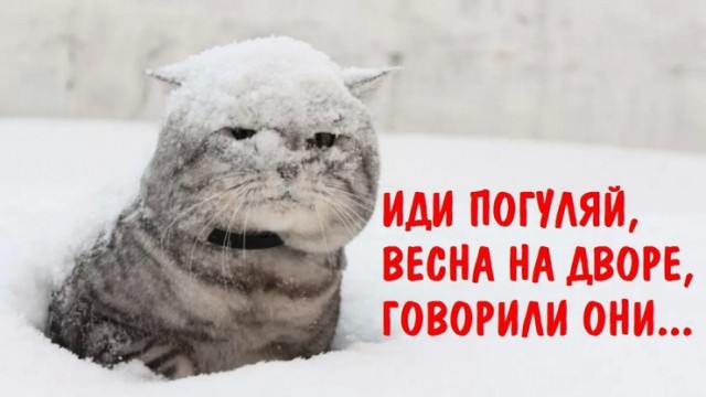 Немного веселых картинок из этих наших интернетов