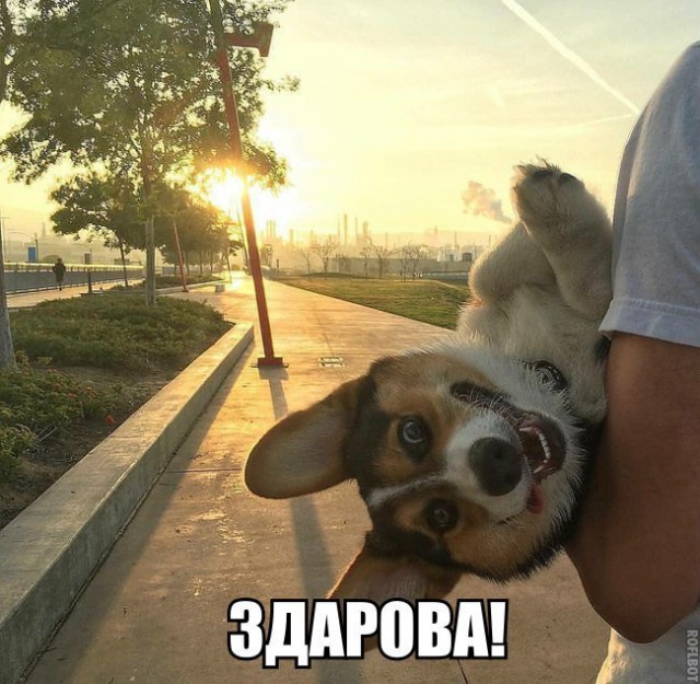 Глазки от работы отрывайте, на картинки повтыкайте!