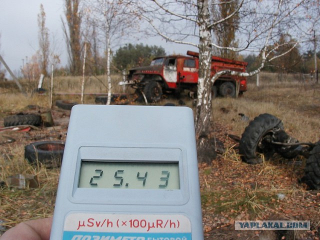 Поехал гулять в лес, а нашёл груды сожжённых военных машин