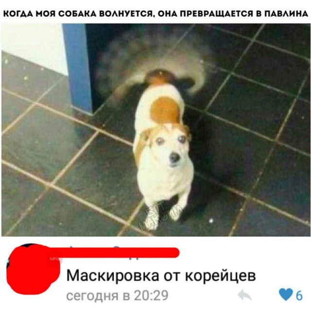 Нестандартный юмор