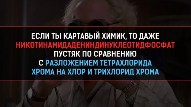 Познавательная Редеградация