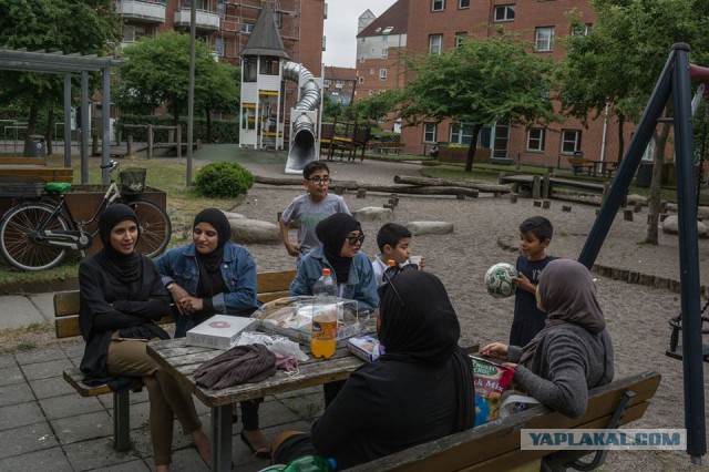 Дания - иммигрантам: Или ассимилируем или посадим