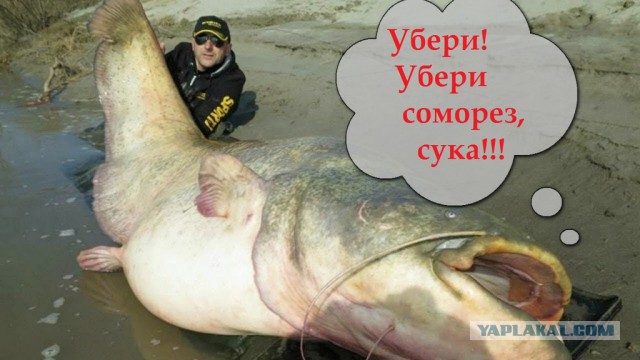 Отверстие на МКС приведшее  к разгерметизации
