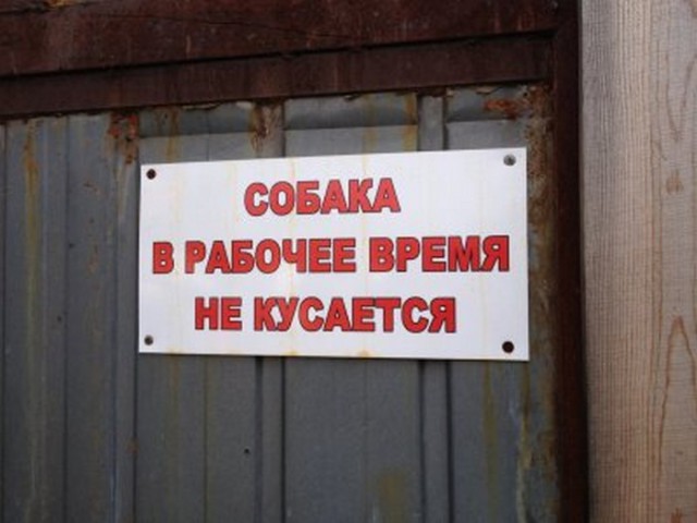 Прикольные надписи и объявления
