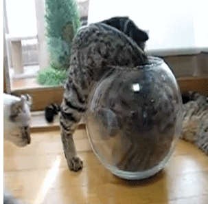 Принимает любой объем и форму