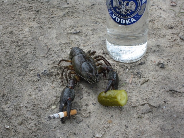 За понимание!