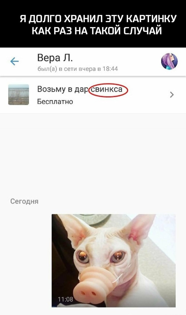 Анекдоты, соц-сети и картинки с надписями