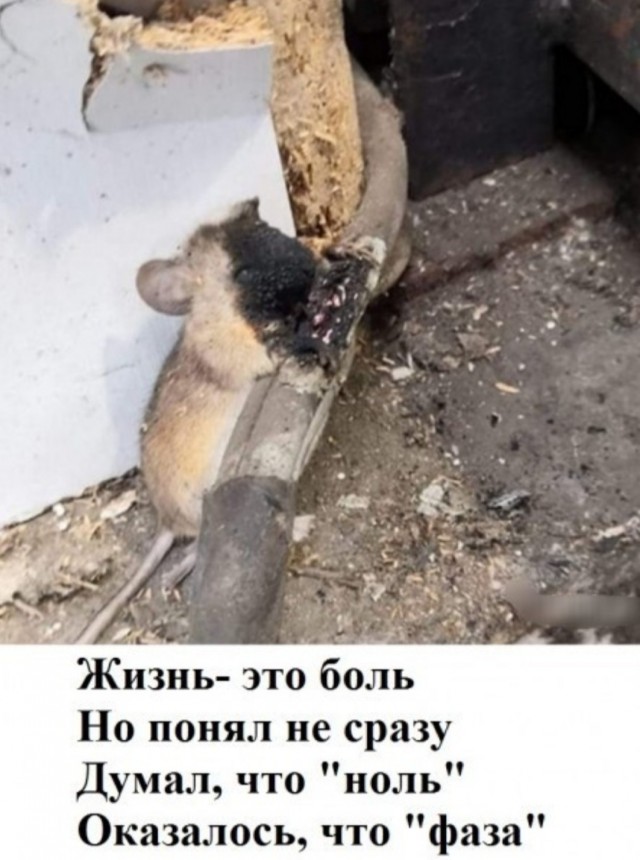Техника безопасности