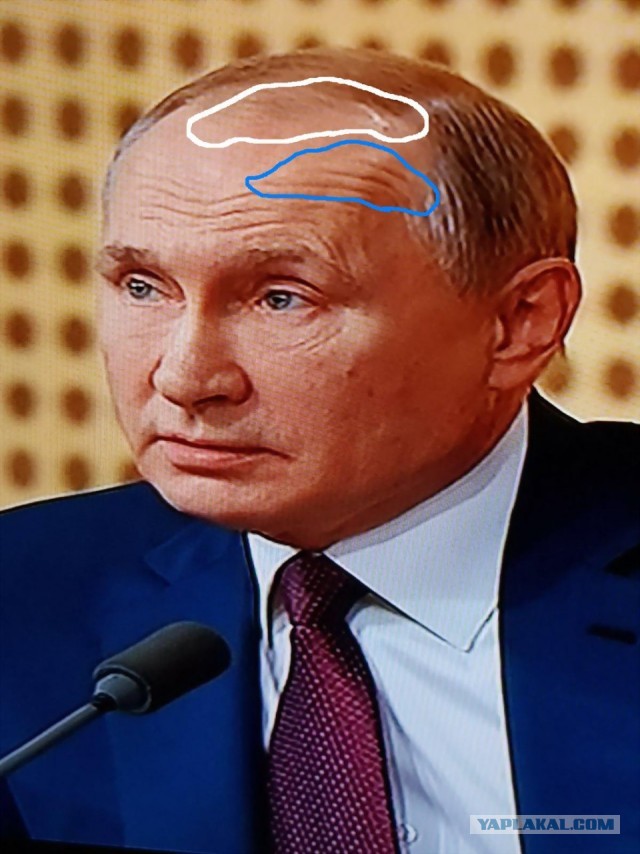 Видеоконференция Путина В.В