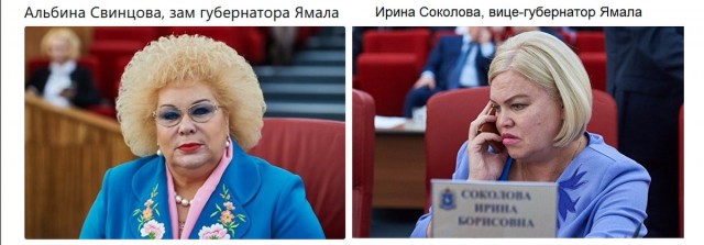 Неизвестные напали на подмосковный дом замгубернатора