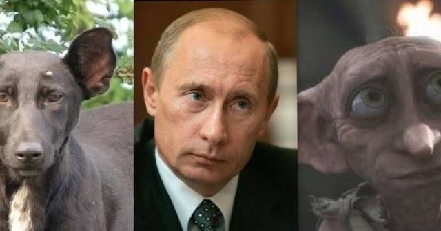 Сбежавший банкир и бывший друг Путина выложил фото его дочерей