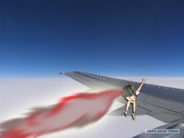 Яблоко не только полезно, но и...