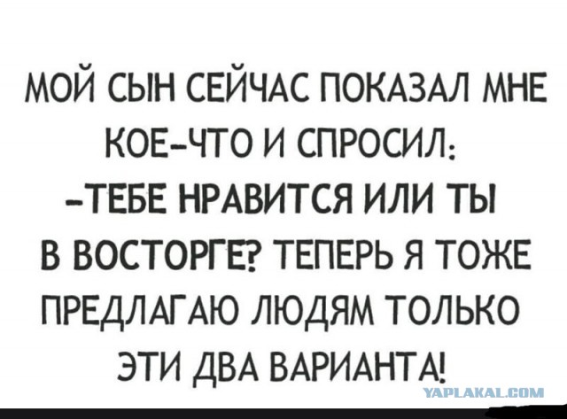 Забавные шутки, картинки и фразы из этих ваших интернетов