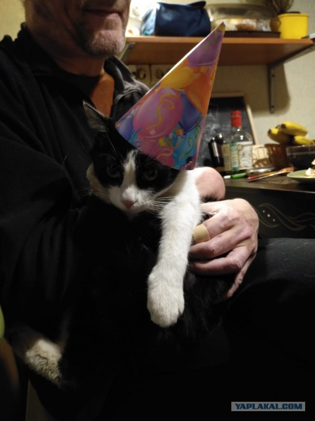 Это "КОКОС", детка!