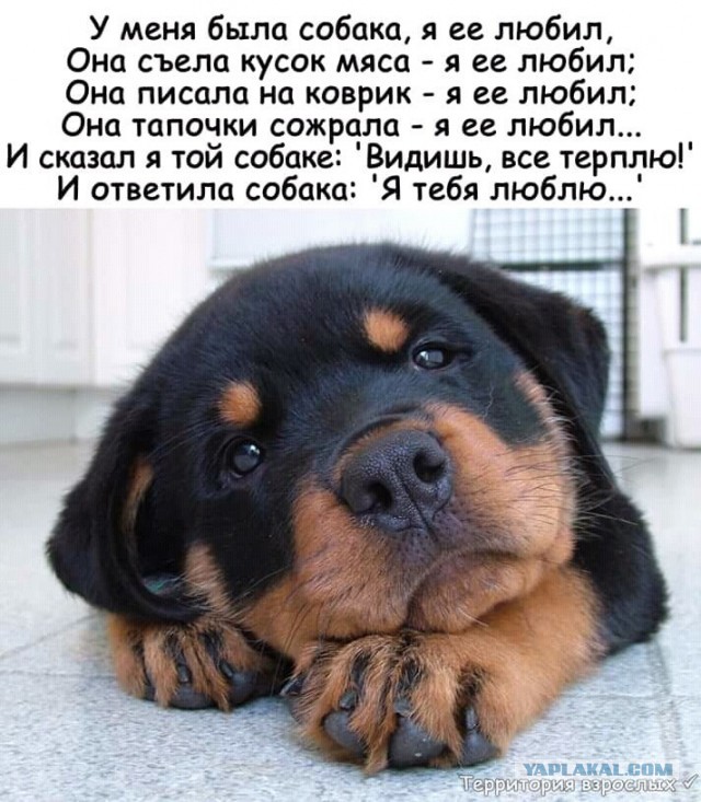 Он поверил