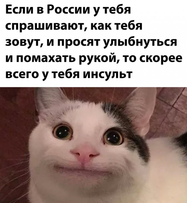 Весёлый полтишок 4.03