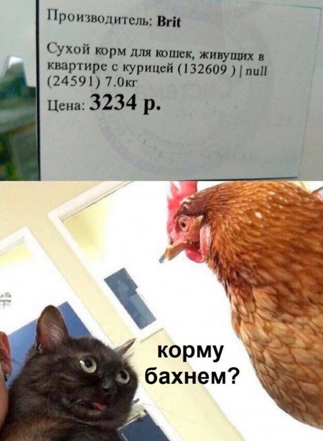 Аморальная деградация