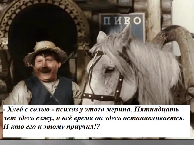 Россиянам в пьяном виде, а также детям младше 14 лет могут запретить выгуливать питомцев