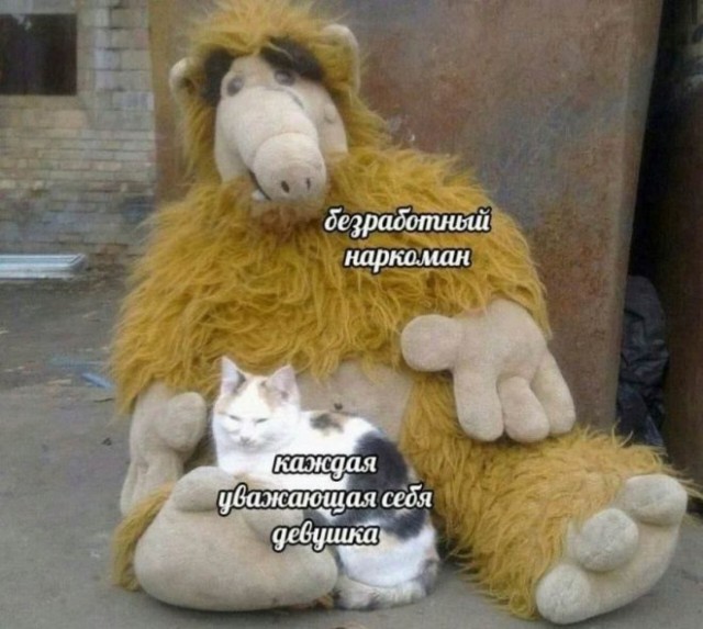 Бредзона 08.08.21