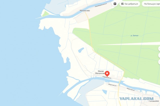В Куршском заливе в Калининградской области поймали 80-килограммового сома