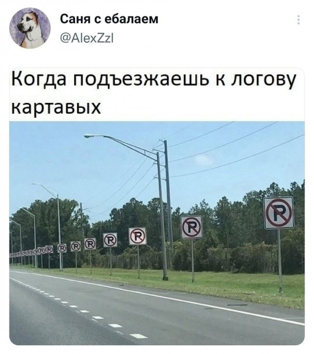 Так себе картинки 20.08.21